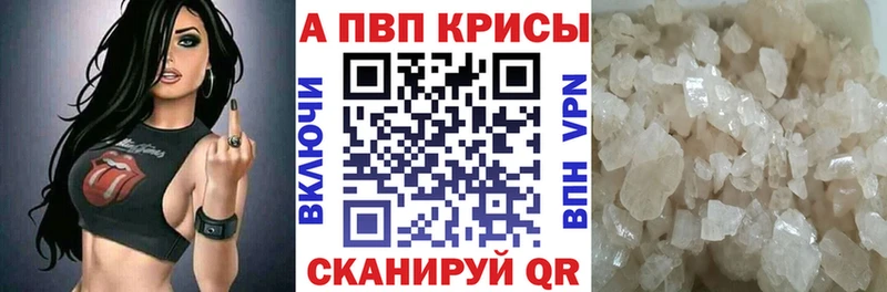 A PVP СК КРИС Саранск