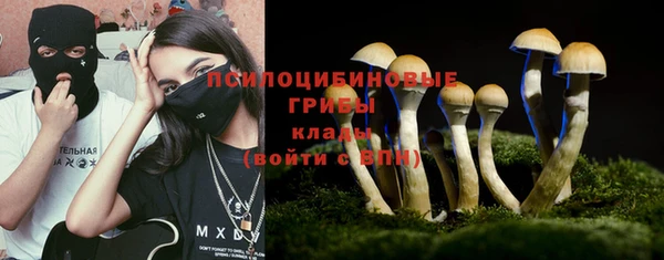 скорость Бородино