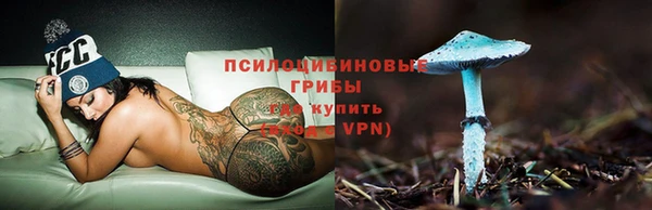 скорость Бородино