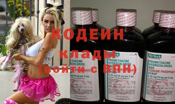 индика Семилуки