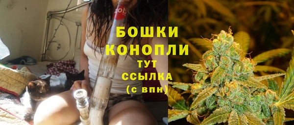 гашик Бронницы