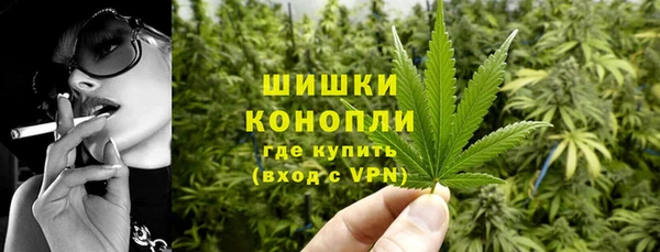 гашик Бронницы